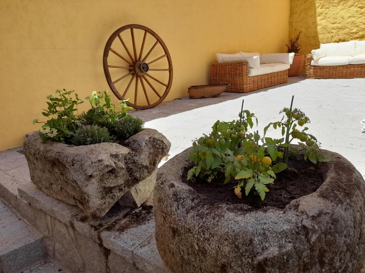 Casa Rural Del Tio Maino Becerril de la Sierra Exteriör bild